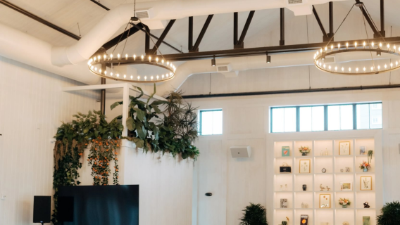 A bright and airy meeting room with white walls, large windows, and a greenery wall.
